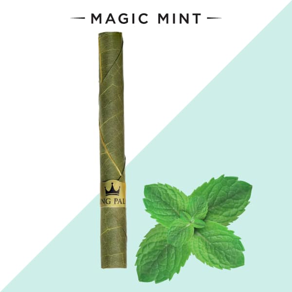 Mini Roll Box – Magic Mint